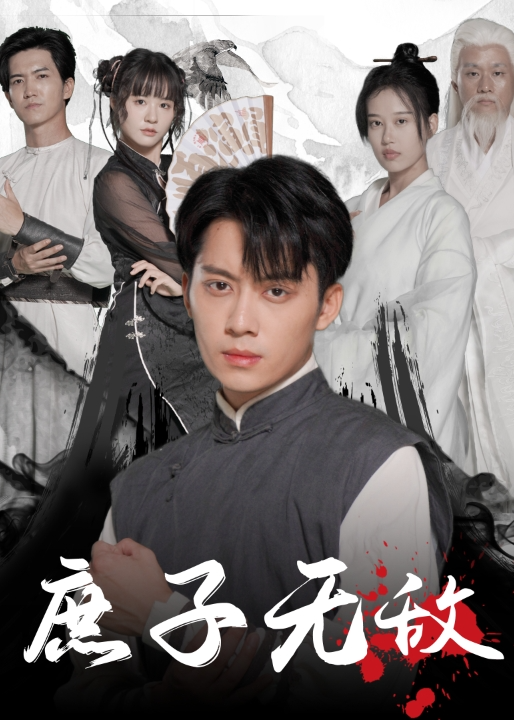 庶子无敌海报