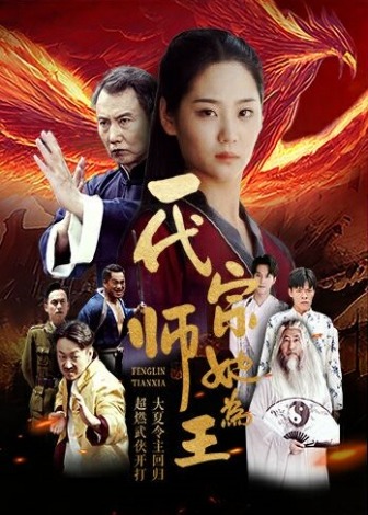 一代宗师她为王海报
