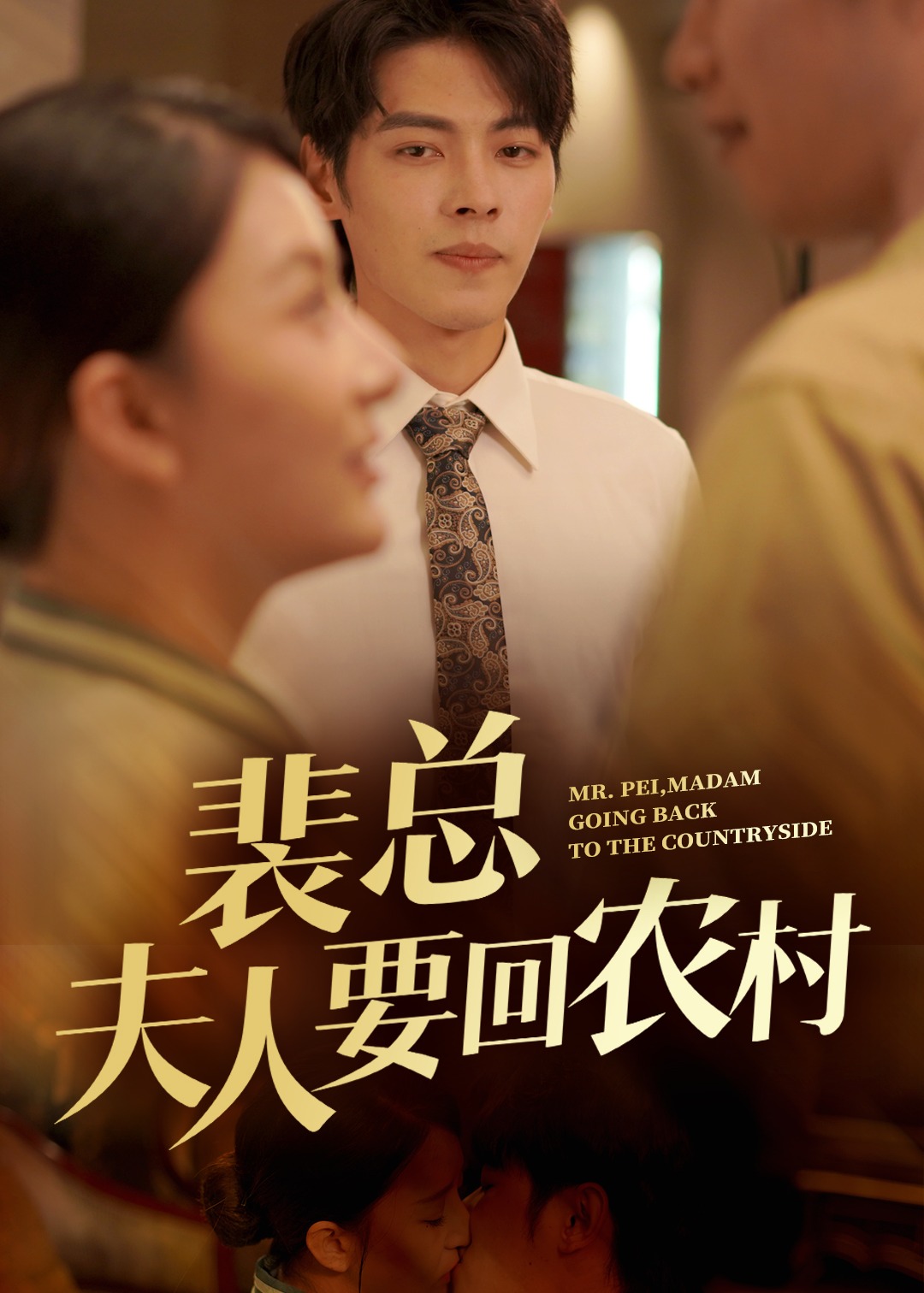 裴总夫人要回农村海报