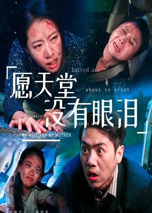愿天堂没有眼泪海报
