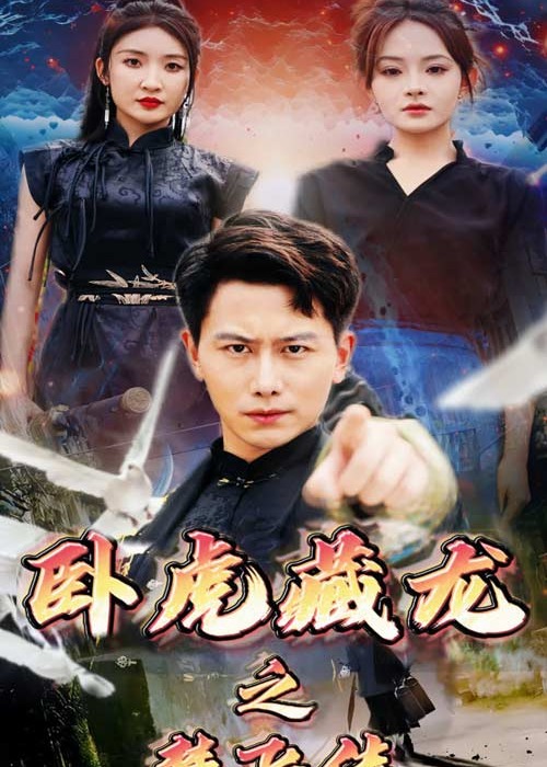 卧虎藏龙之楚飞传海报