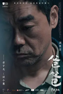 爸爸2024海报