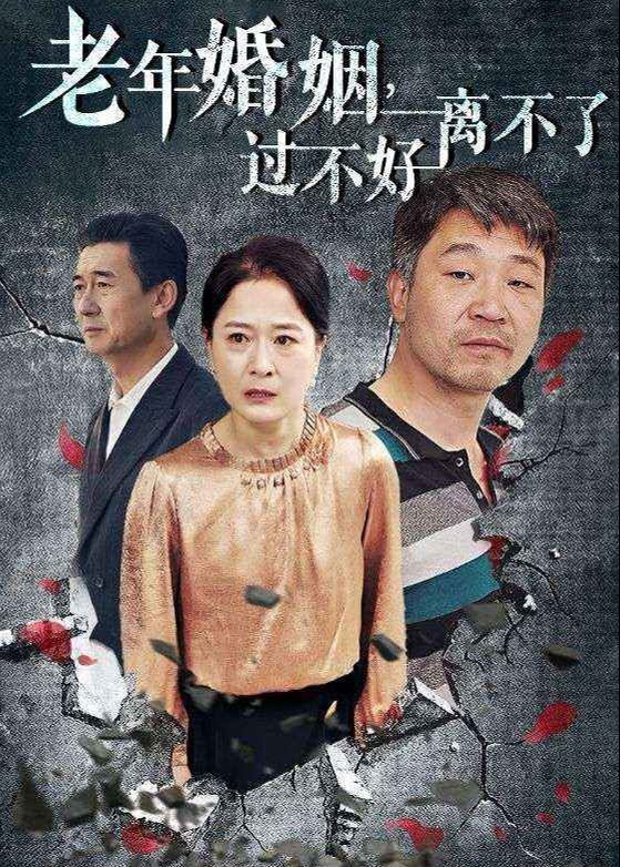 老年婚姻过不好离不了海报