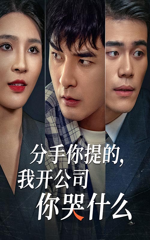 分手你提的我开公司你哭什么海报