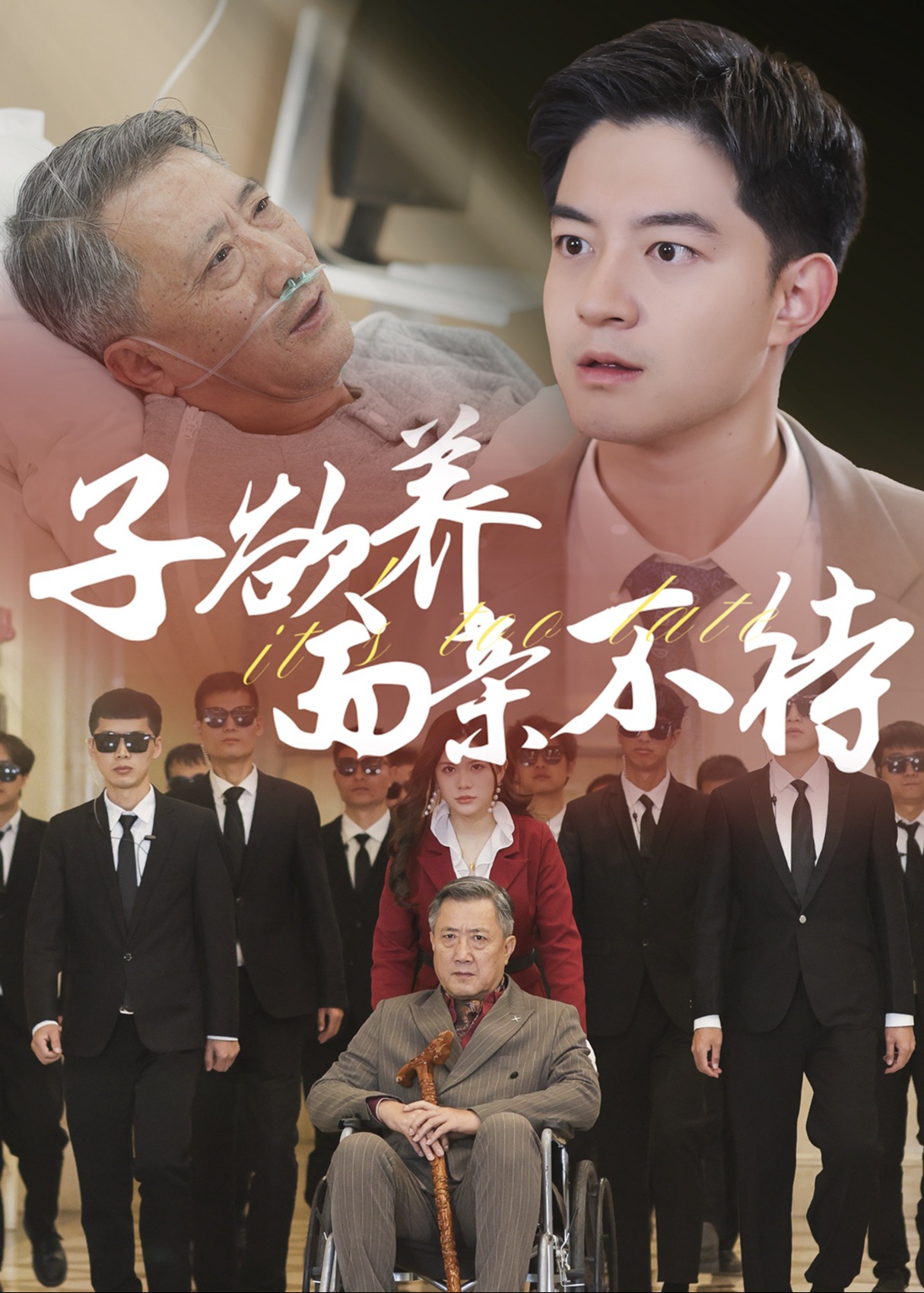 子欲养而亲不待2-都市日常海报