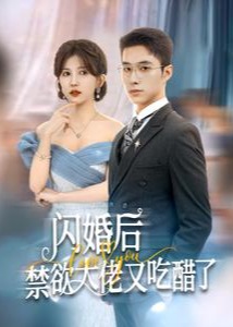 闪婚后禁欲大佬又吃醋了-女频恋爱海报