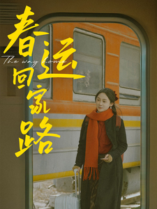 春运回家路-都市日常海报
