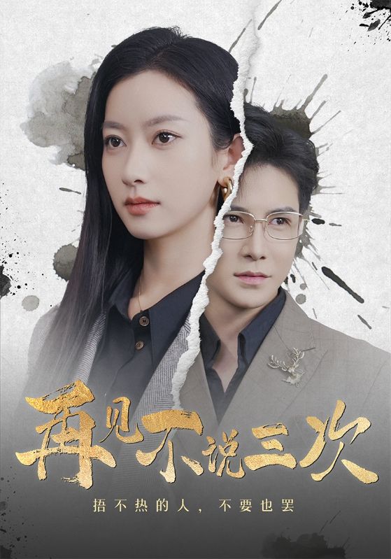 再见不说三次-家庭情感海报