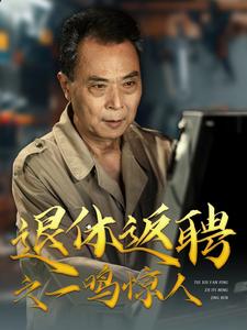 退休返聘之一名惊人-都市日常海报