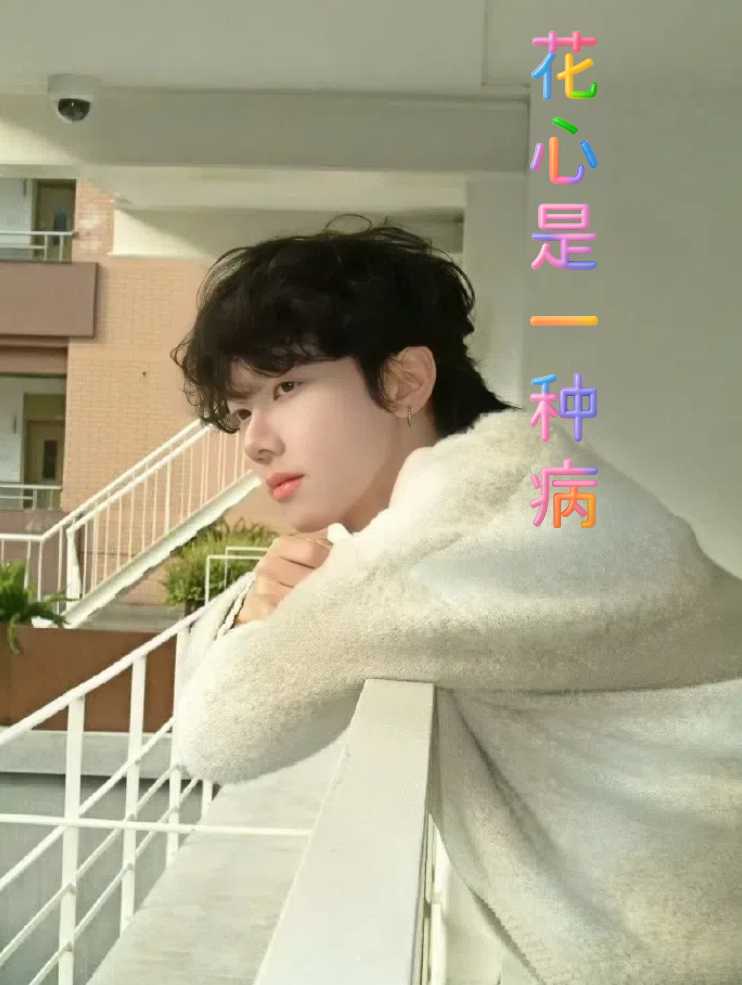 花心是一种病海报