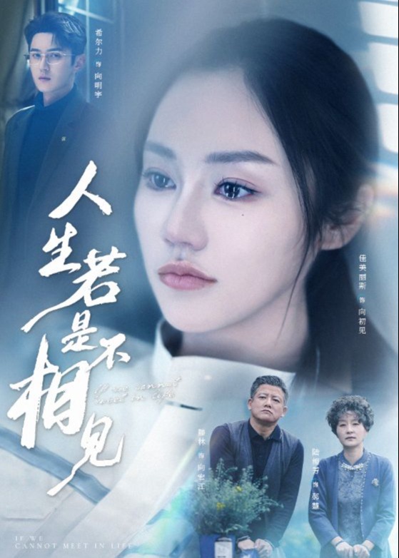 人生若是不相见-都市日常