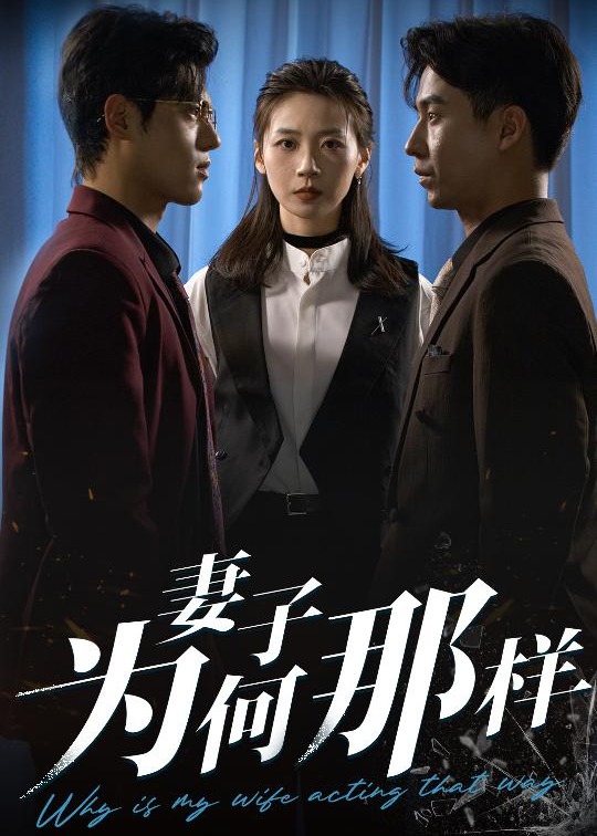 妻子为何那样-现代言情海报