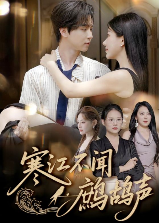 寒江不闻鹧鸪声-现代言情海报