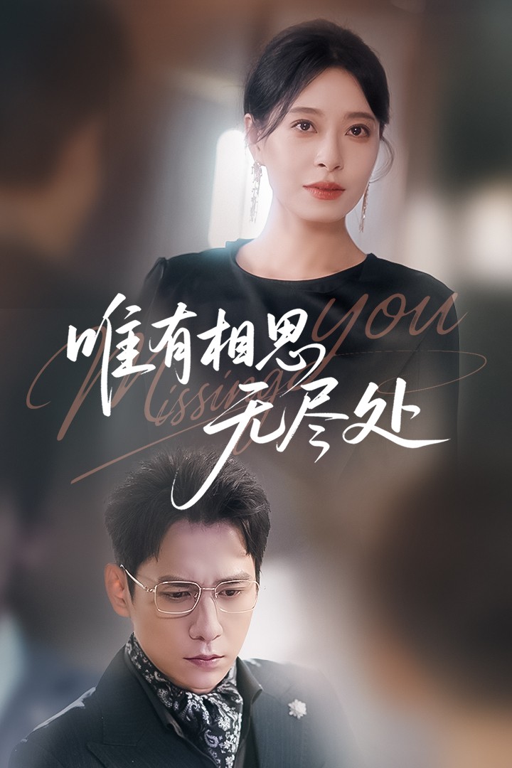 唯有相思无尽处-都市言情海报