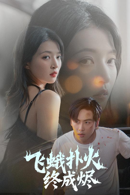 飞蛾扑火终成烬-都市言情海报