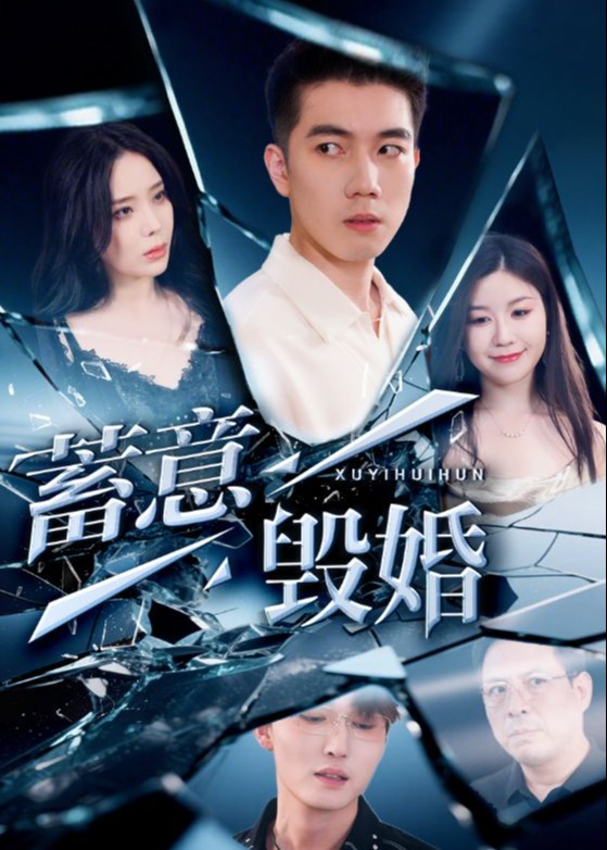 蓄意毁婚-都市日常海报