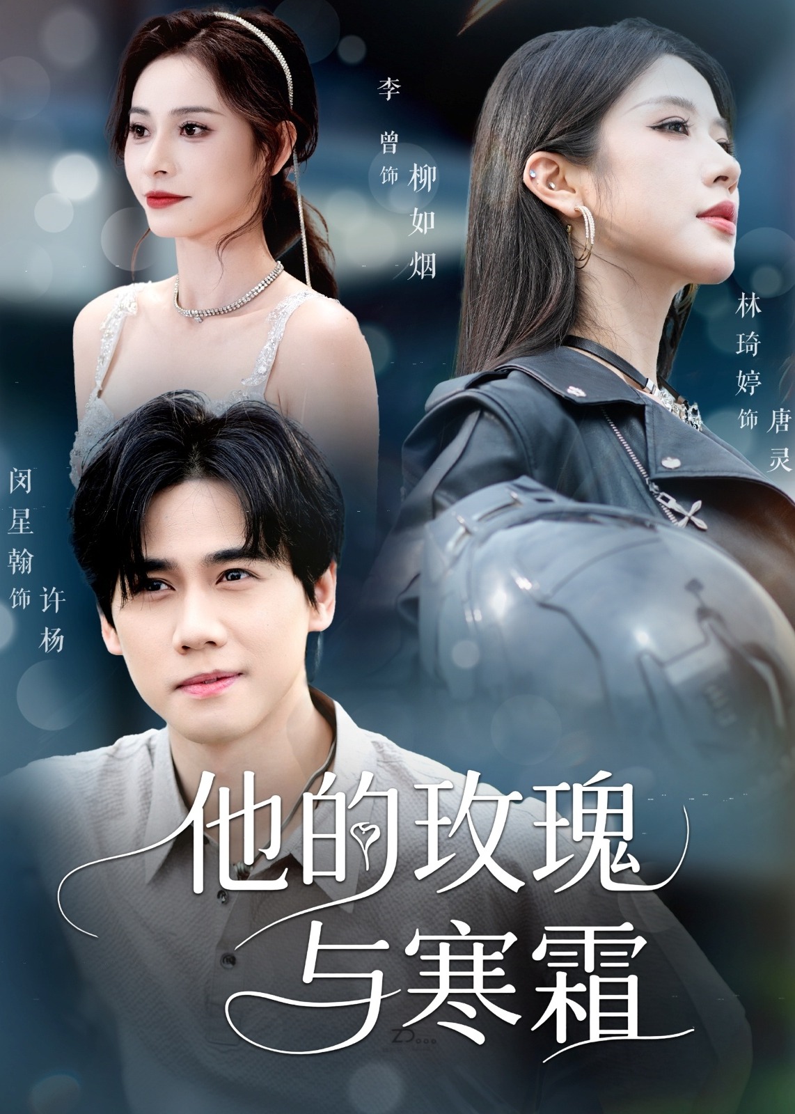 他的玫瑰与寒霜-都市日常海报