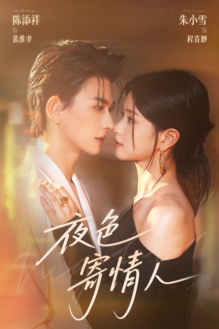 夜色寄情人-都市言情海报