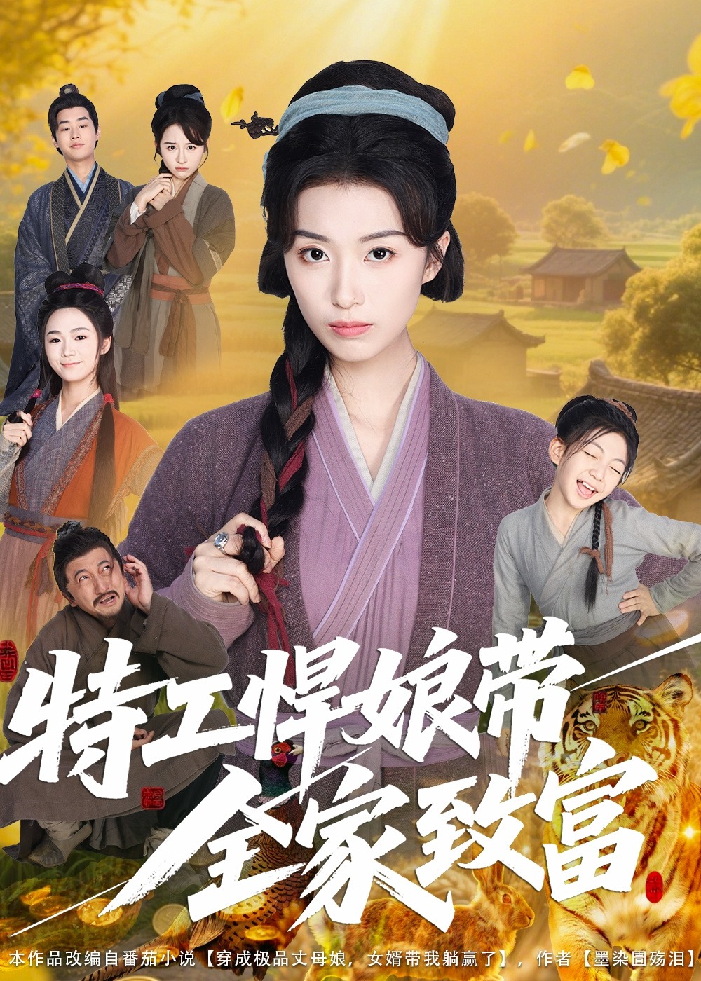 特工悍娘带全家致富-古风日常海报