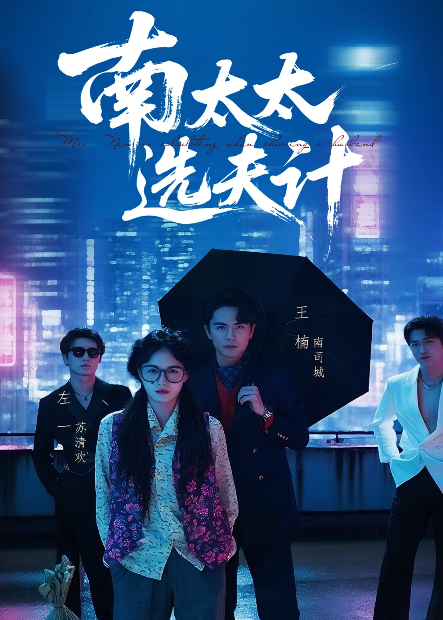 南太太选夫记-都市日常海报