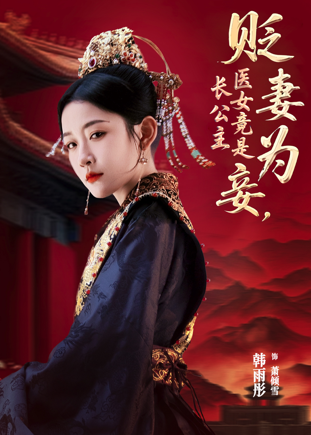 贬妻为妾医女竟是长公主-古装逆袭海报