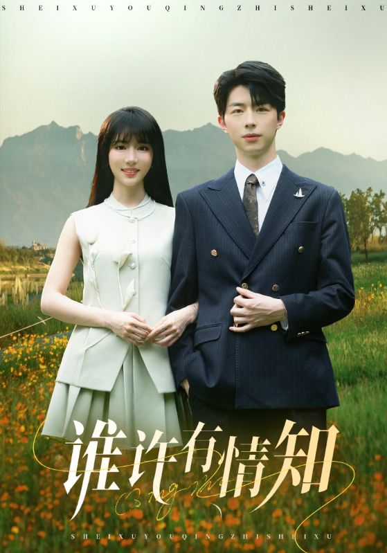 谁许有情知-都市言情海报