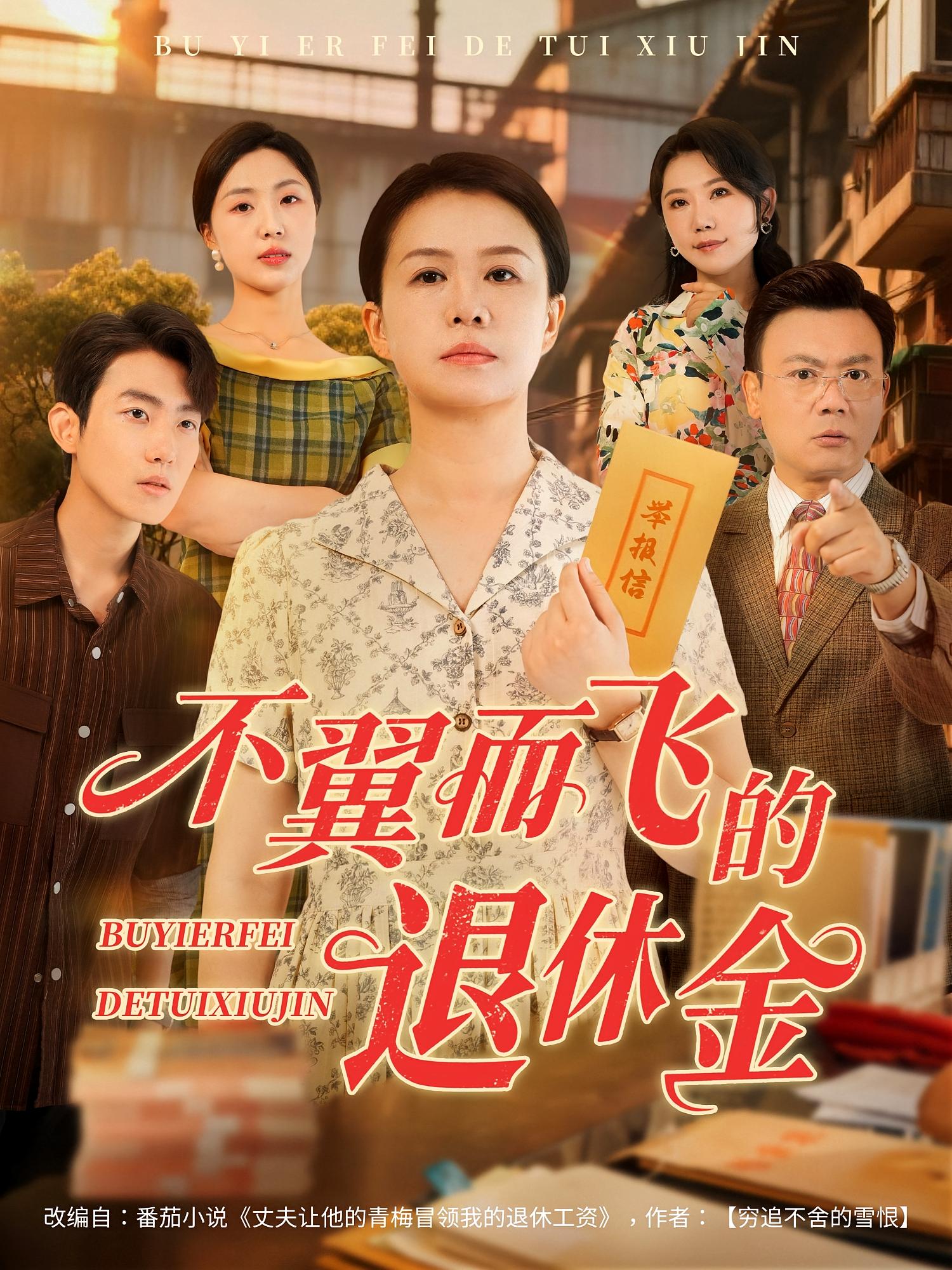 不翼而飞的退休金-家庭情感海报