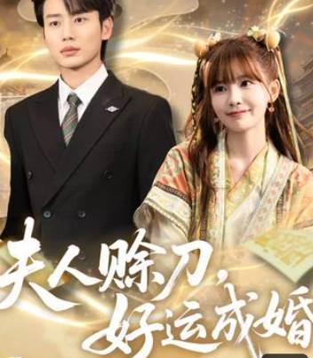 夫人赊刀好运成婚-都市玄幻海报