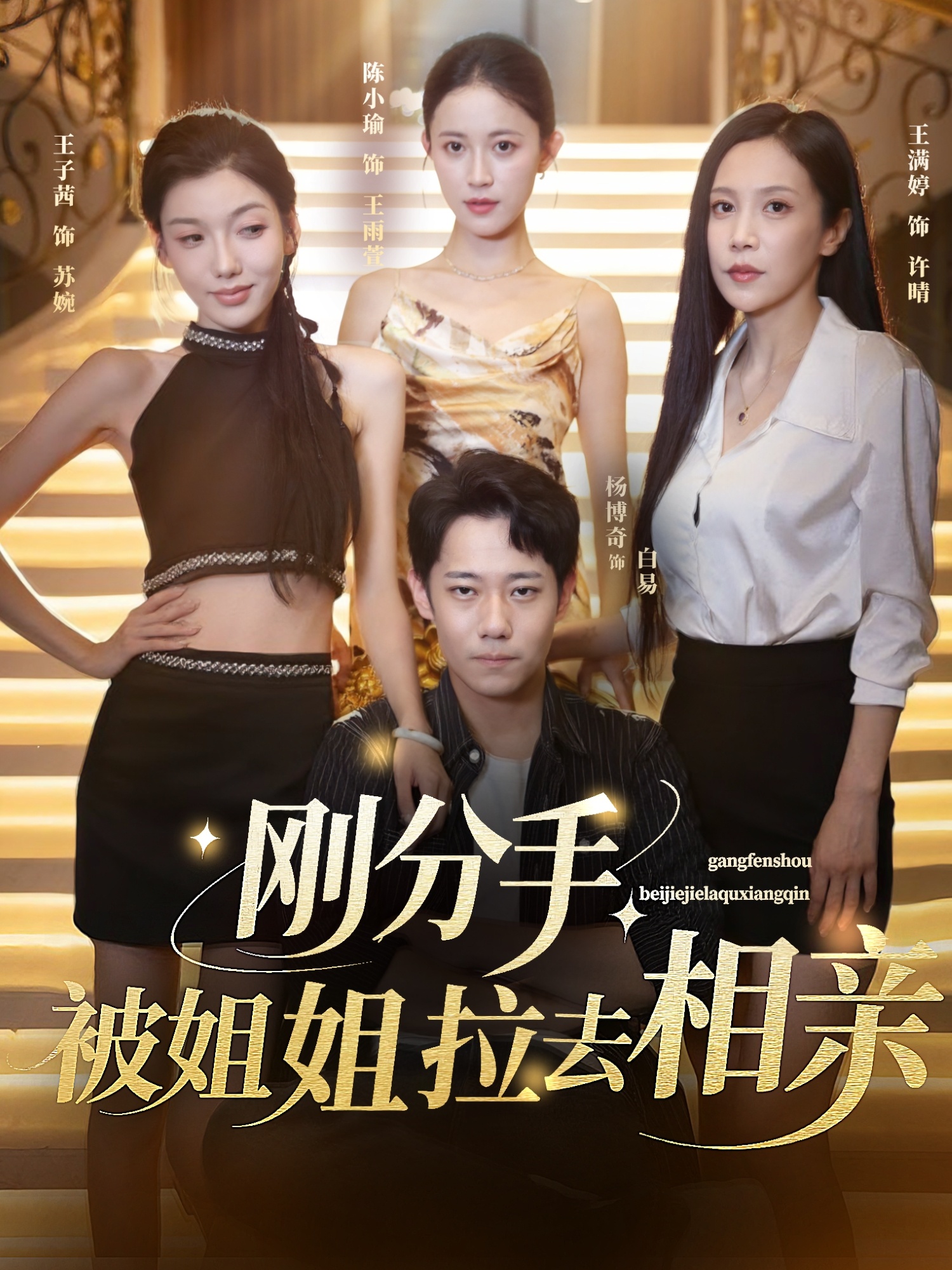刚分手被姐姐拉去相亲-现代都市海报