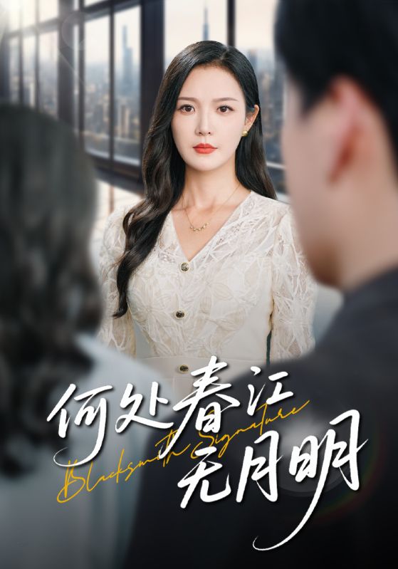 何处春江无月明-都市言情海报