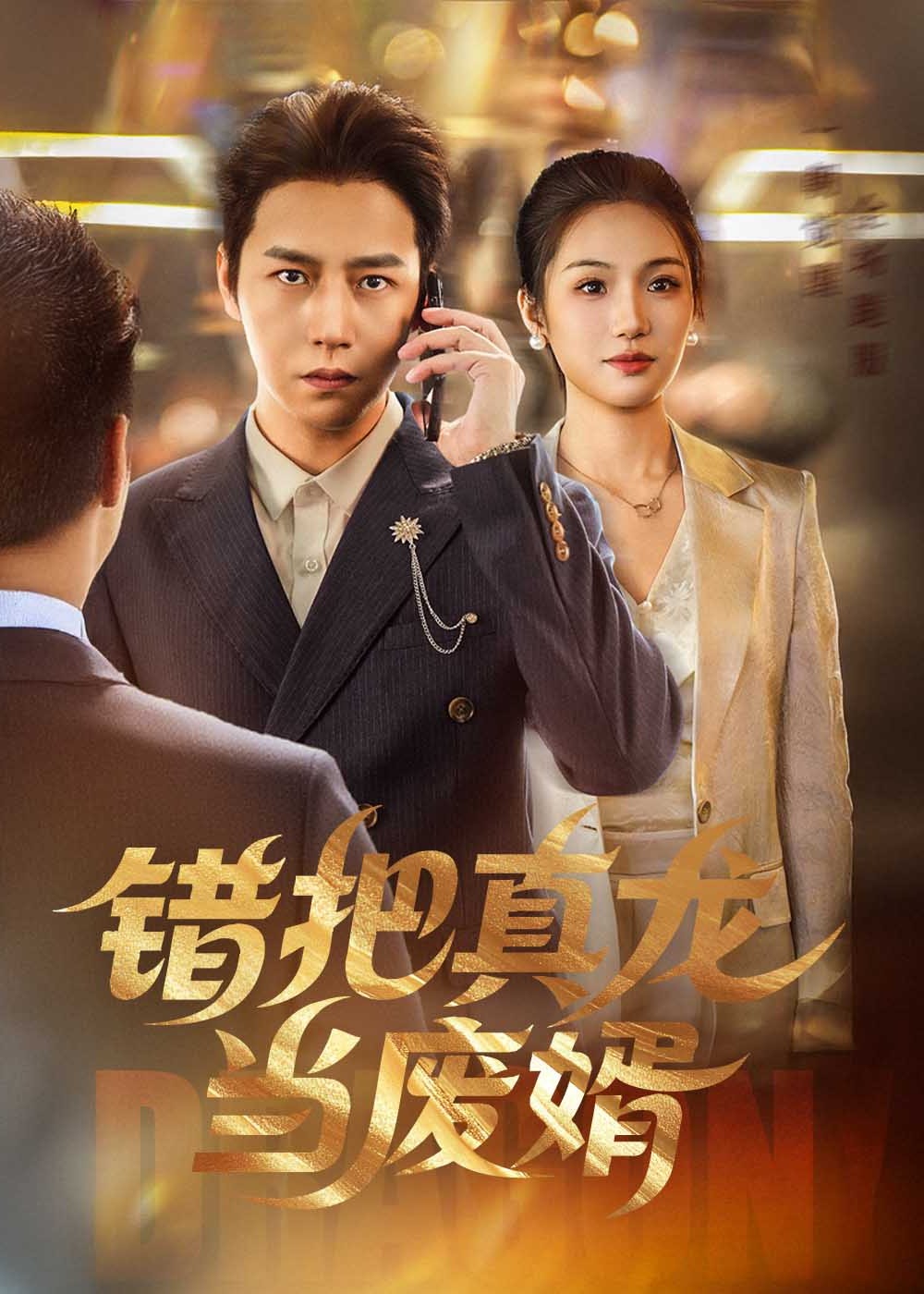错把真龙当赘婿-都市日常