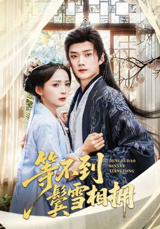 等不到鬓雪相拥-古风言情海报