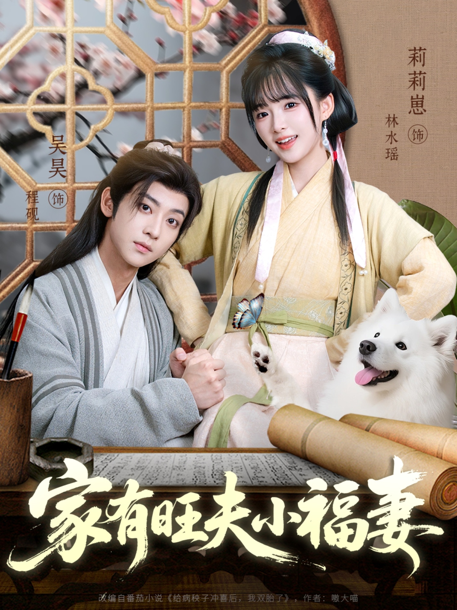家有旺夫小福妻-古风言情海报