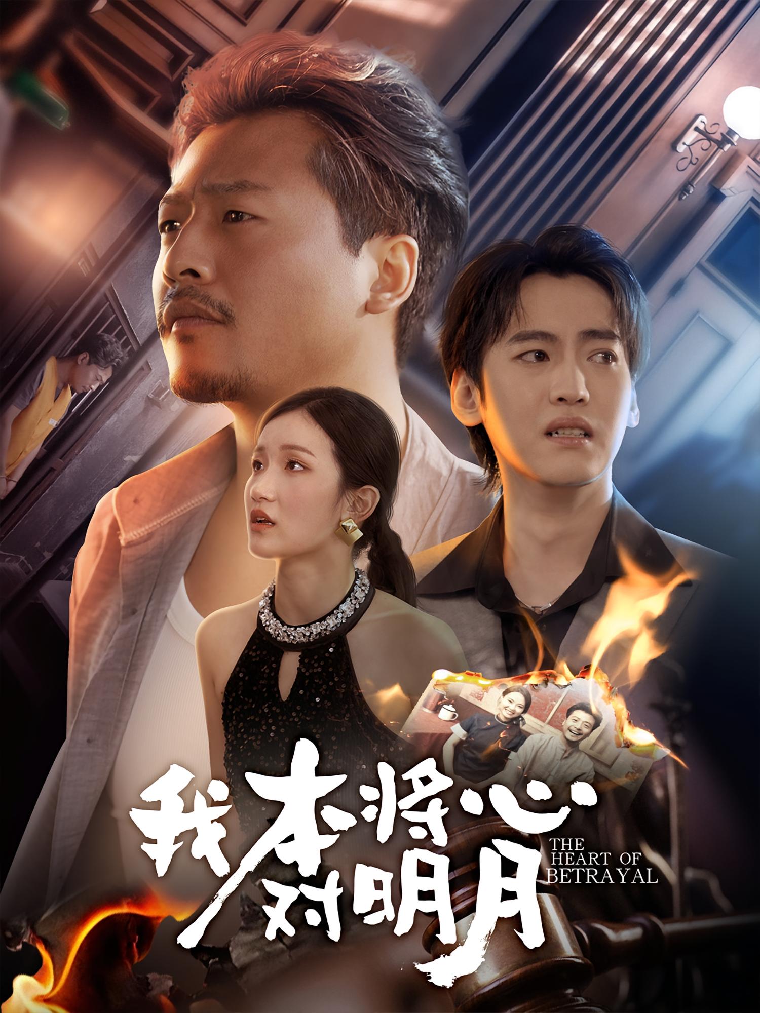 我本将心对明月-家庭情感海报