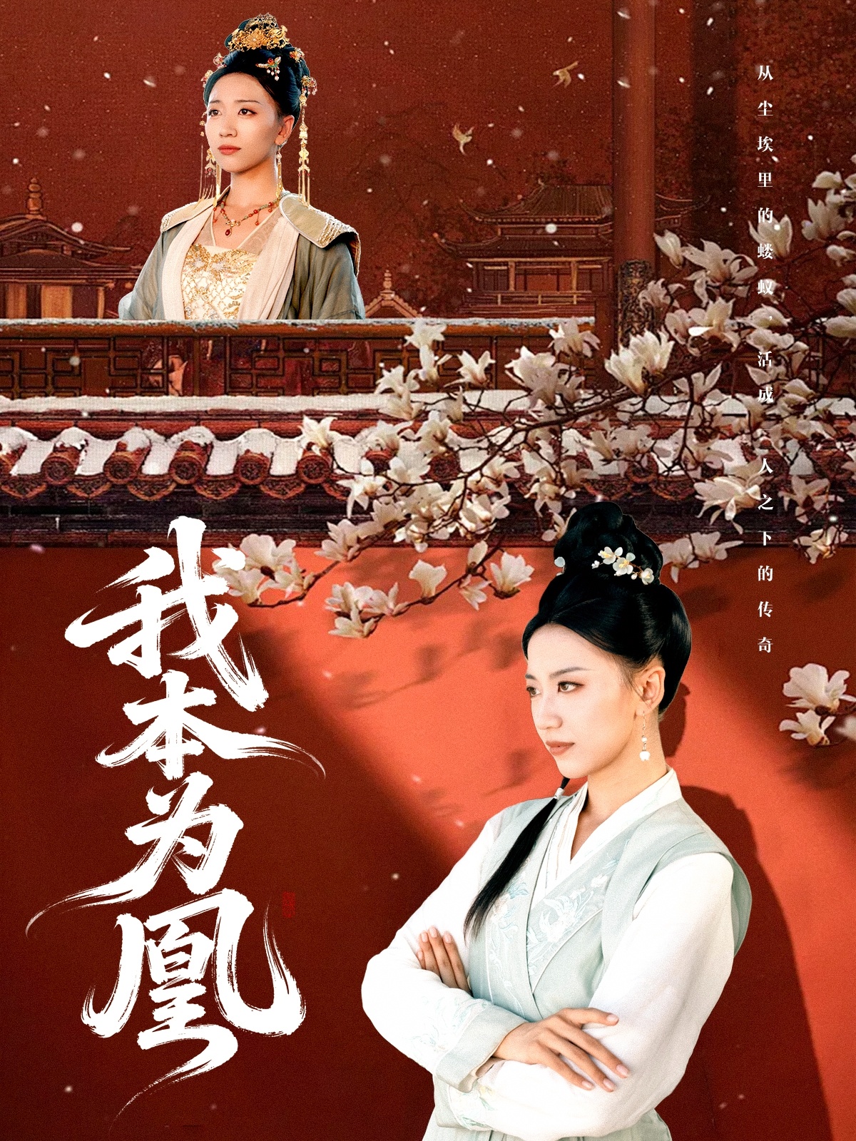 我本为凰-女性成长海报