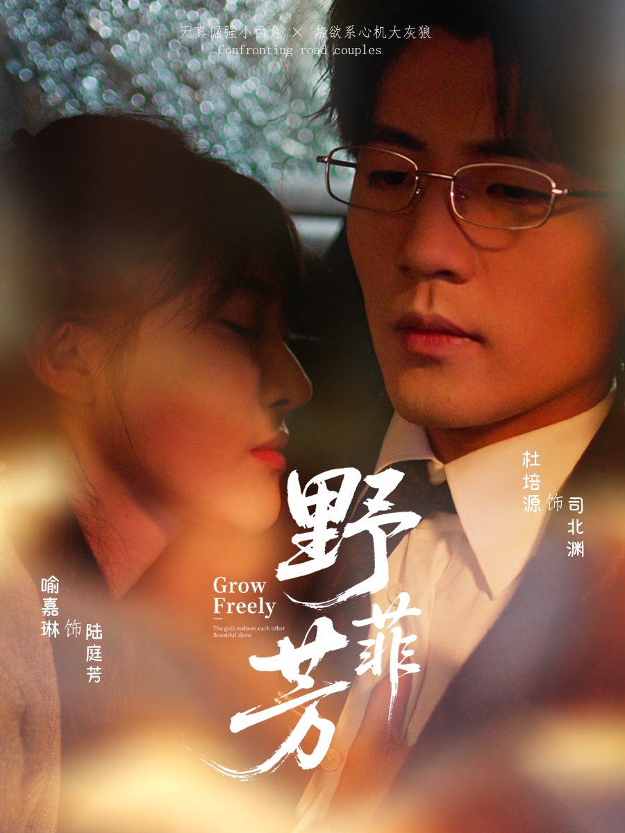 野芳菲-都市言情海报