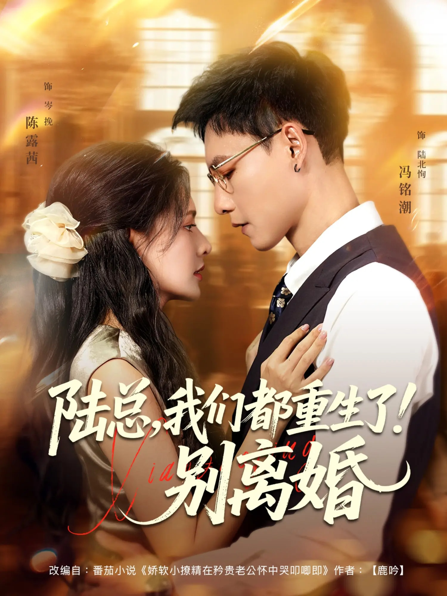 陆总我们都重生了别离婚-都市重生