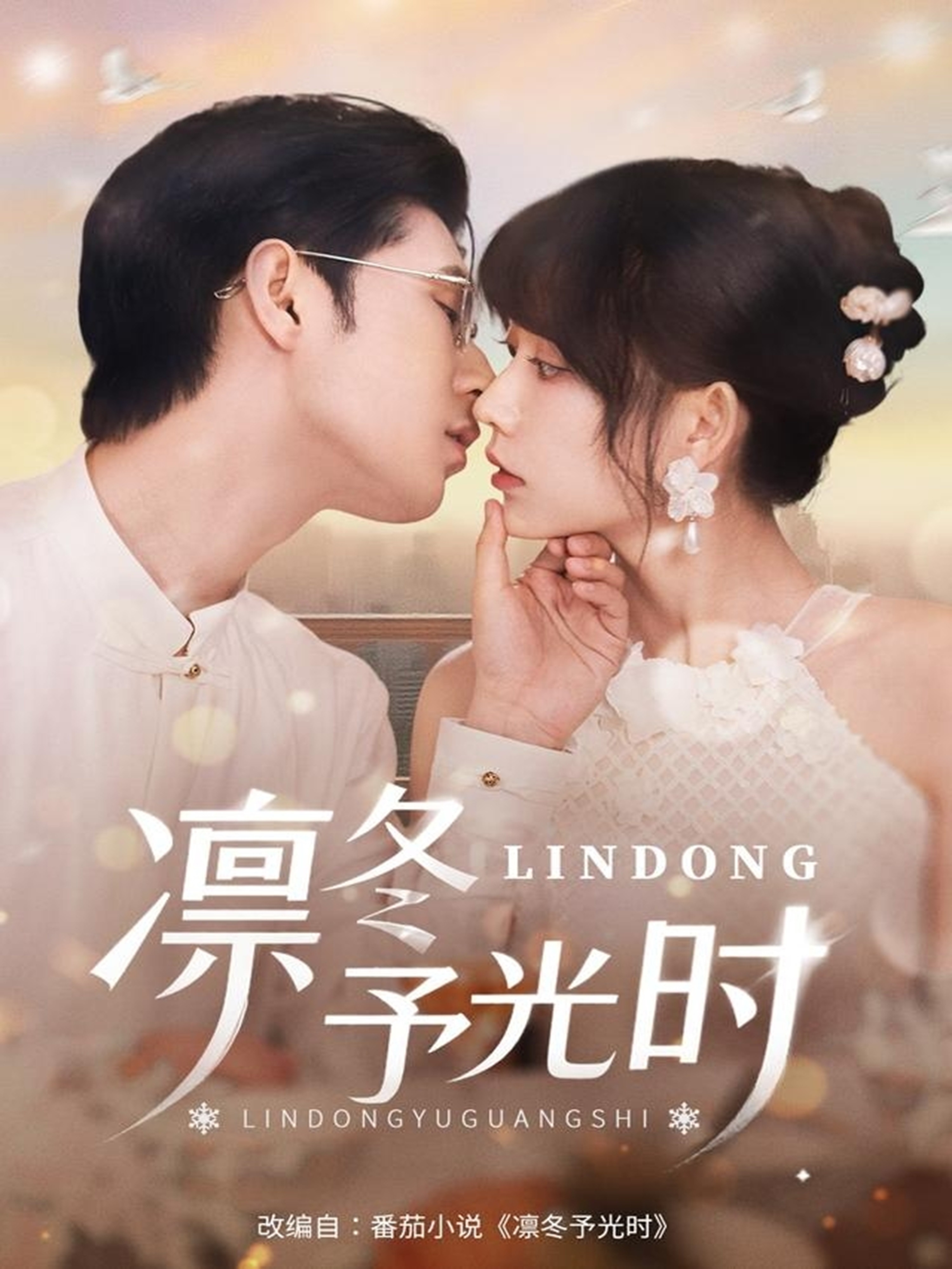 凛冬予光时-现代穿越海报