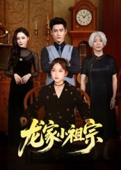 龙家小祖宗-家庭情感海报