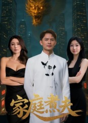 家庭煮夫-都市言情海报