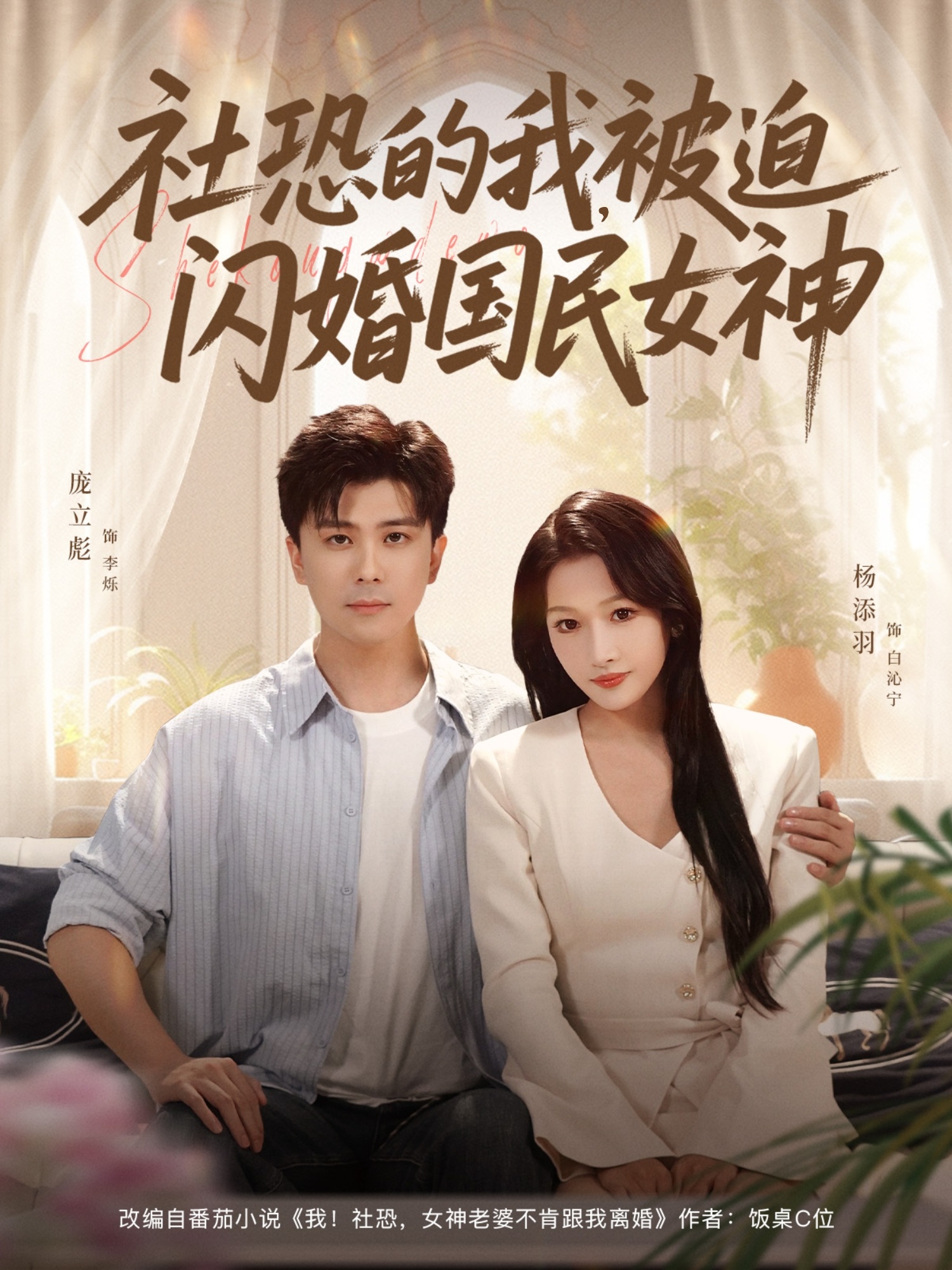 社恐的我被迫闪婚国民女神-现代穿越海报