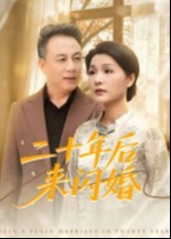 二十年后来闪婚-都市言情