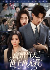 离婚当天世上再无我-都市言情海报