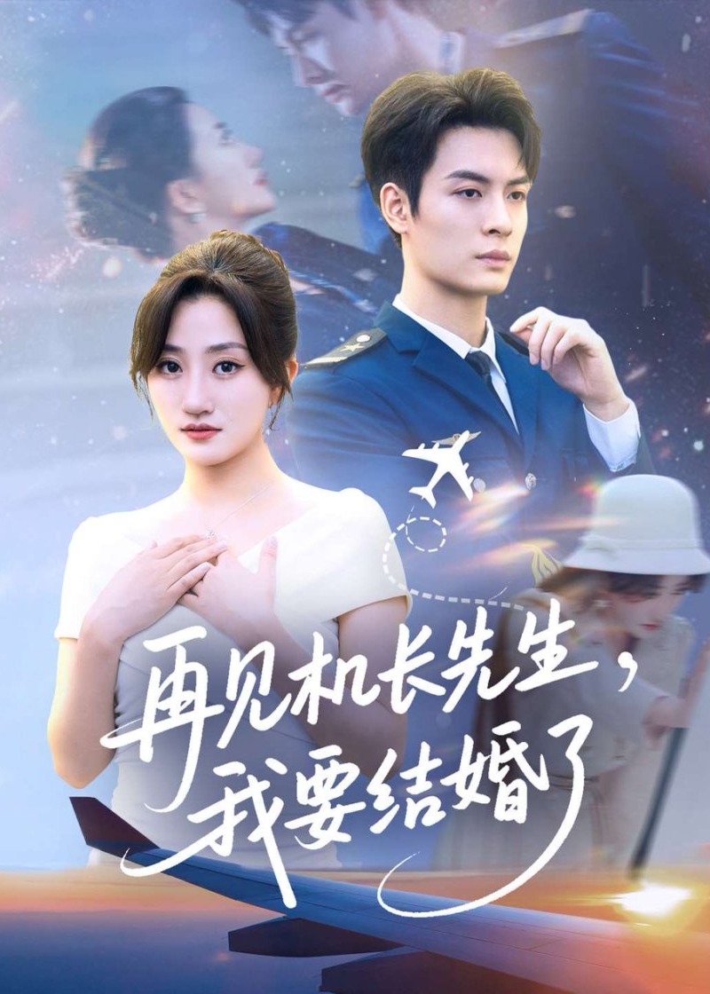 再见机长先生我要结婚了-现代言情海报