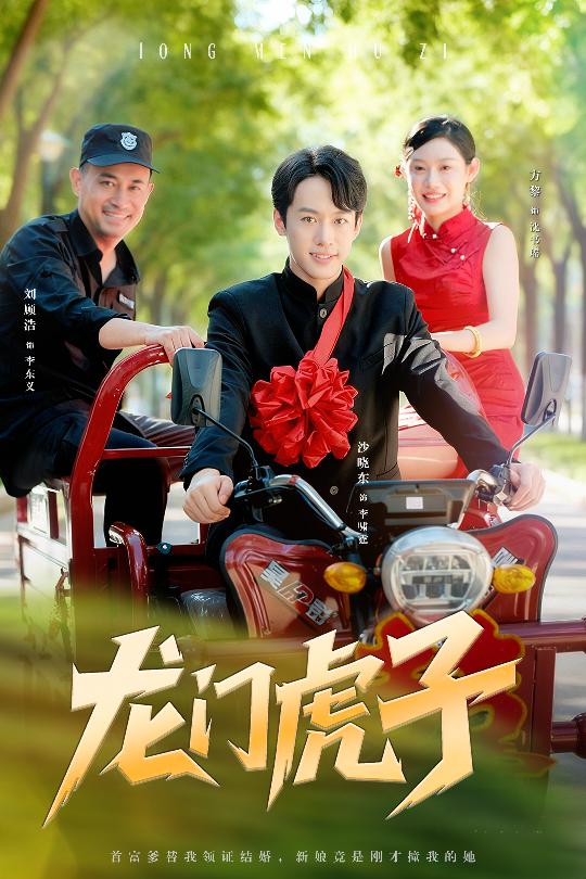龙门虎子-家庭情感海报