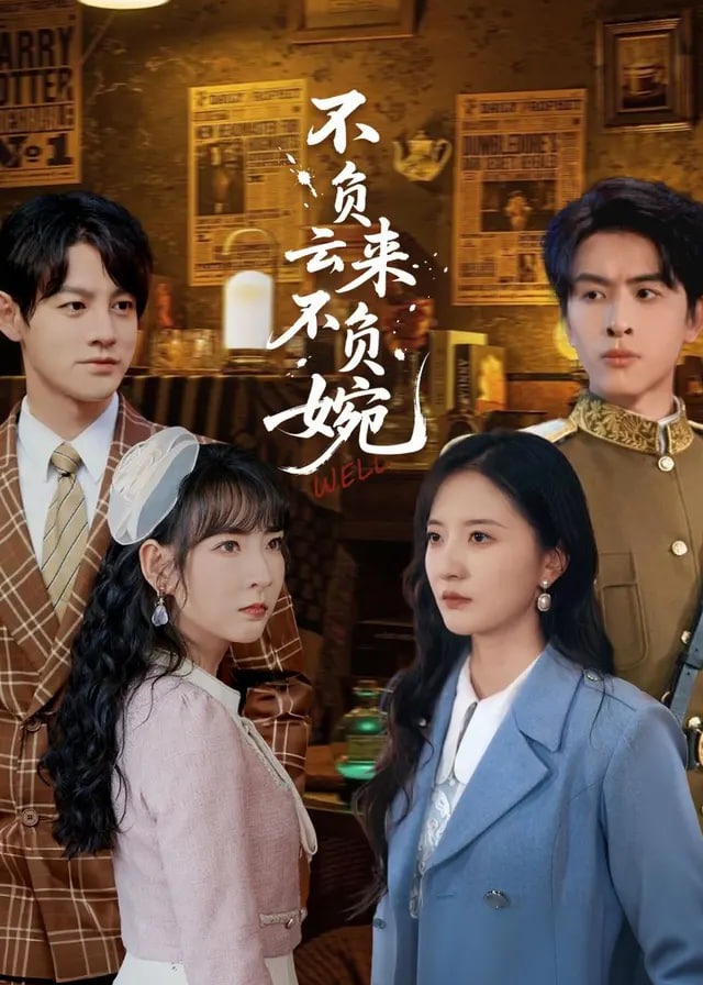 不负云来不负婉-都市日常海报