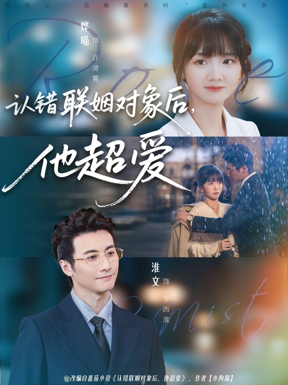 认错联姻对象后他超爱-都市言情海报