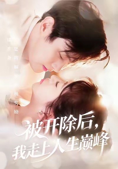 被开除后我走上人生巅峰-异能系统海报