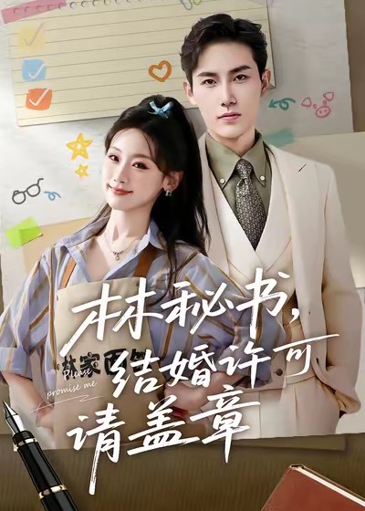 林秘书结婚许可请盖章-都市情感海报