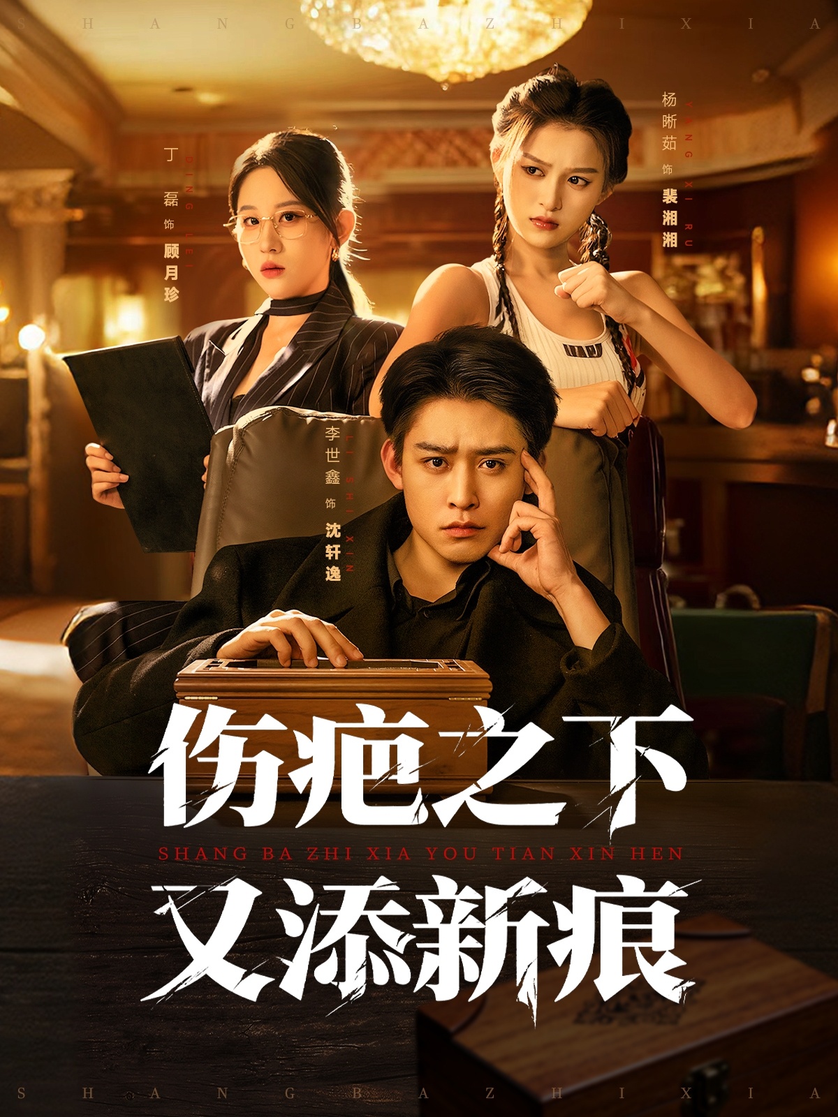 伤疤之下又添新痕-都市言情海报